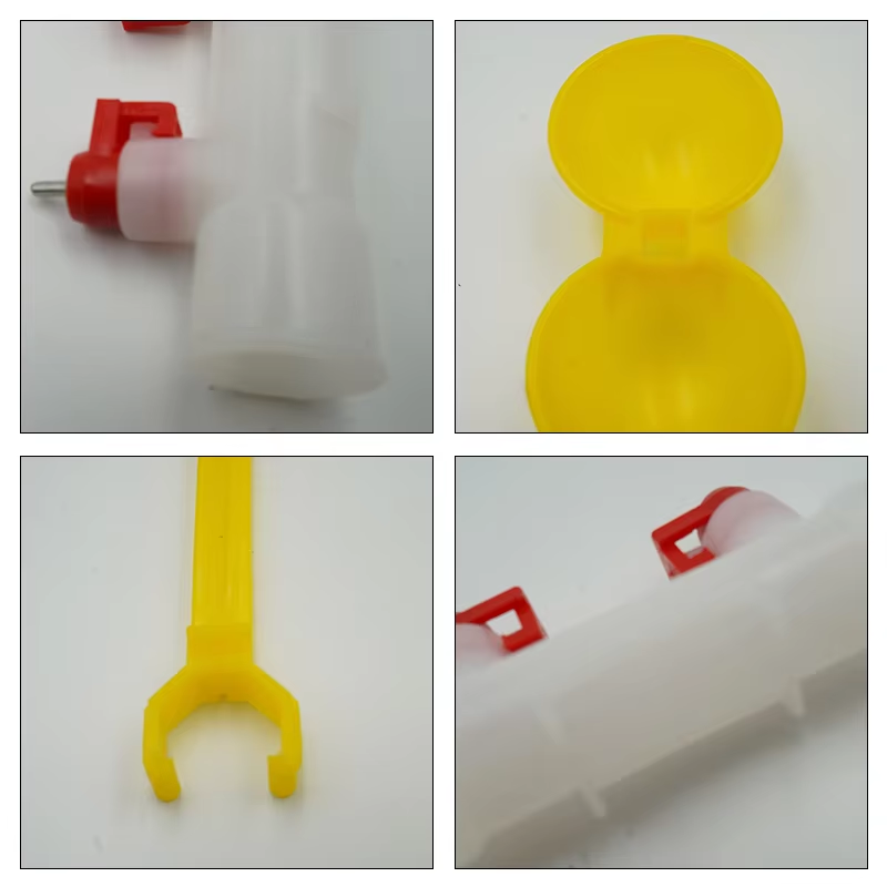 5/10/20 pz Pollo Doppia Testa  - Zwitsal Baby Products recensione e prezzo